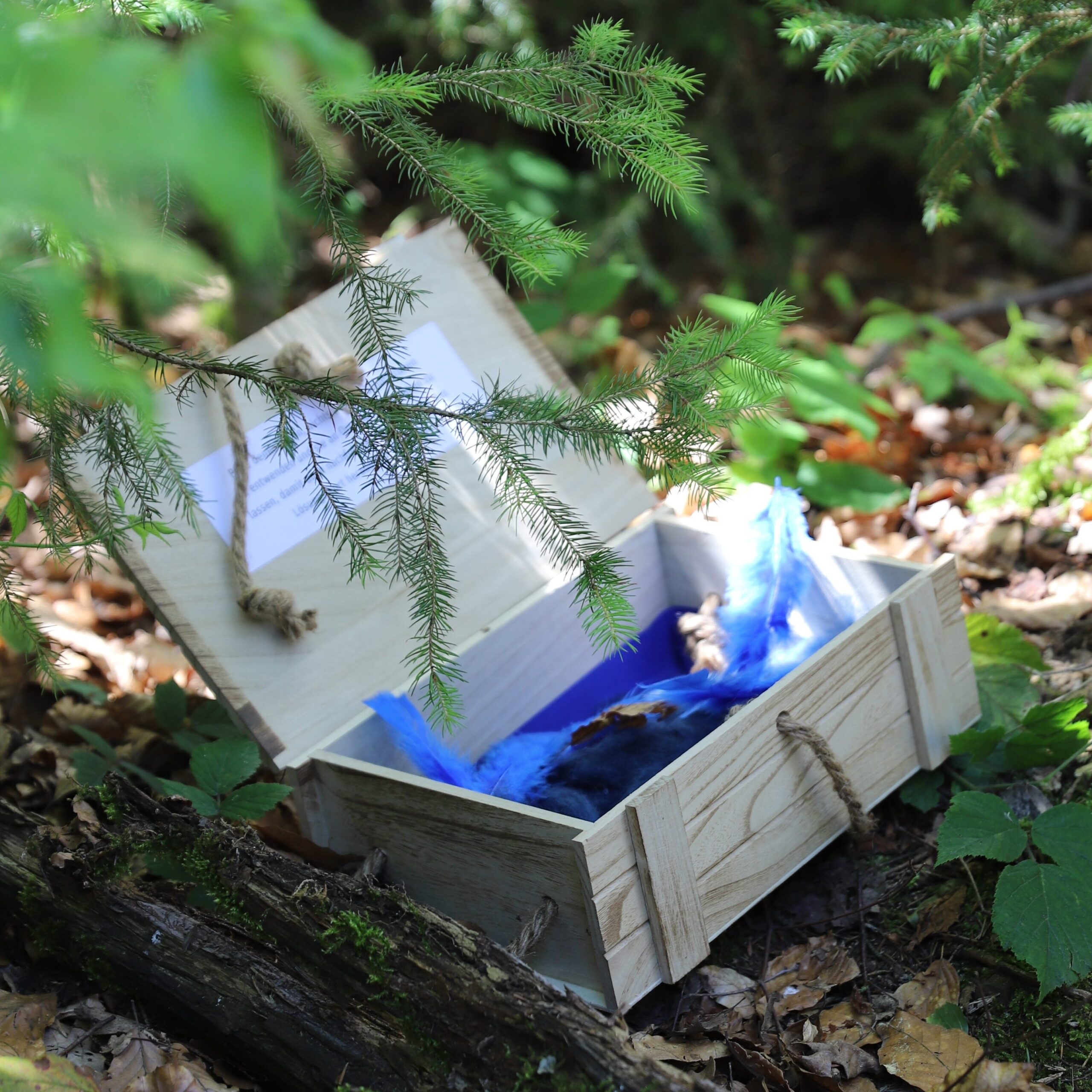 Geöffnete Schatztruhe im Wald